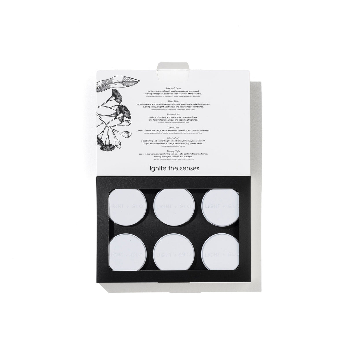 Renaissance Gift Set - 6 TIN Discovery Set