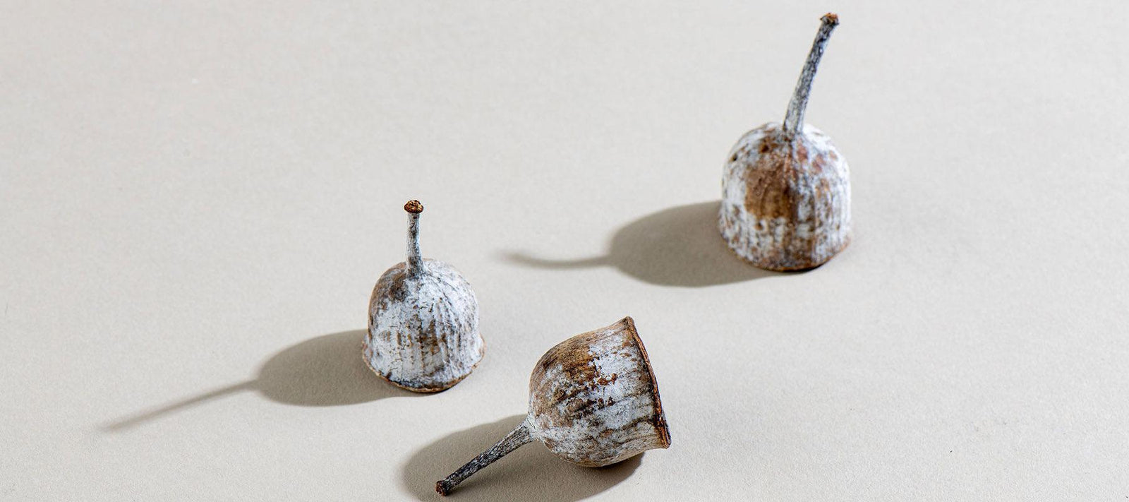 Energise & Invigorate