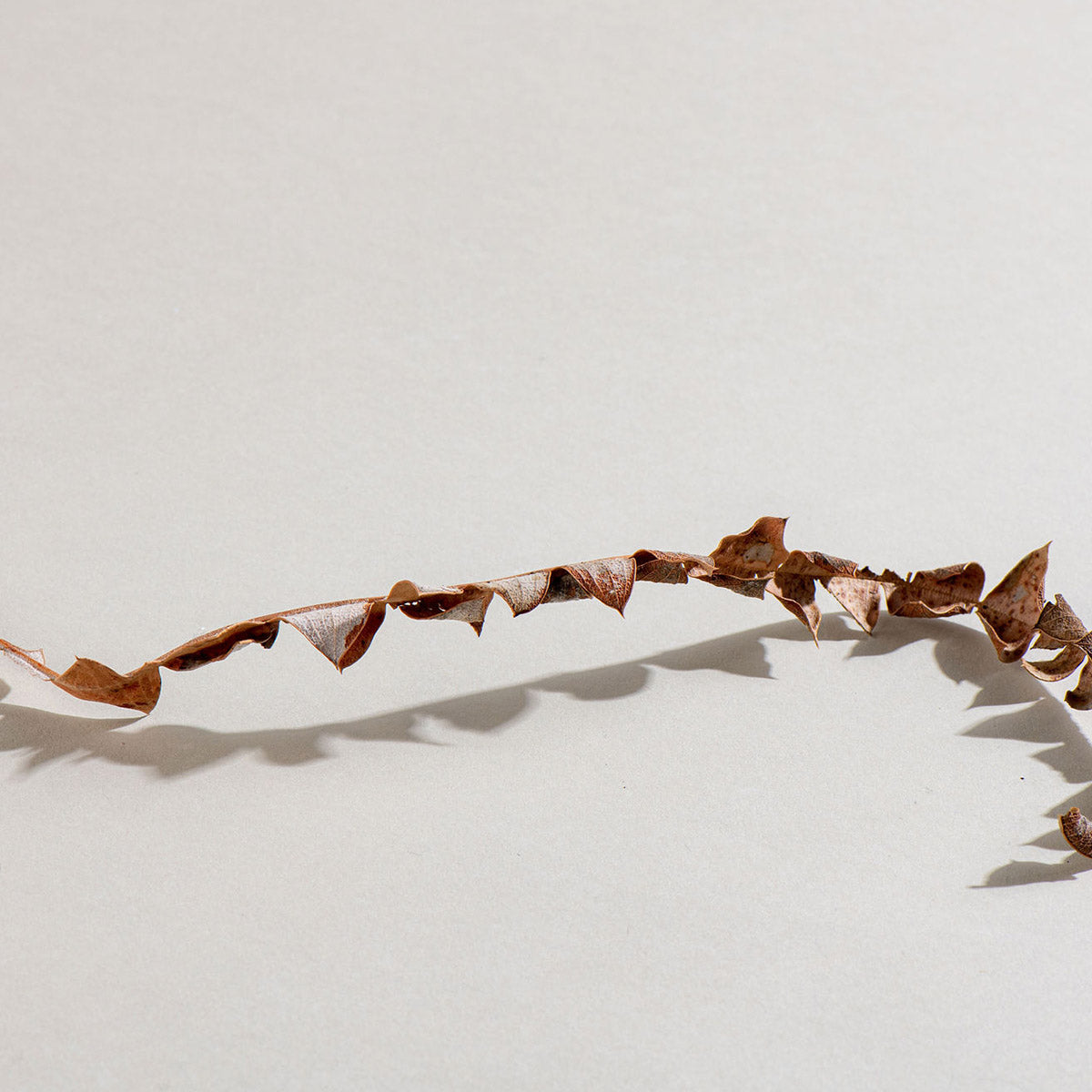 3 Different Ways to Scent your Home without Candles / The Benefits of Light & Glo. Designs